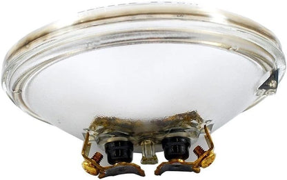 Replacement Light Bulb 30 watt incandescent (Sold Individually)